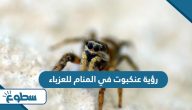 تفسير رؤية عنكبوت في المنام للعزباء