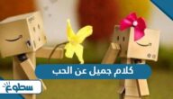 كلام جميل عن الحب