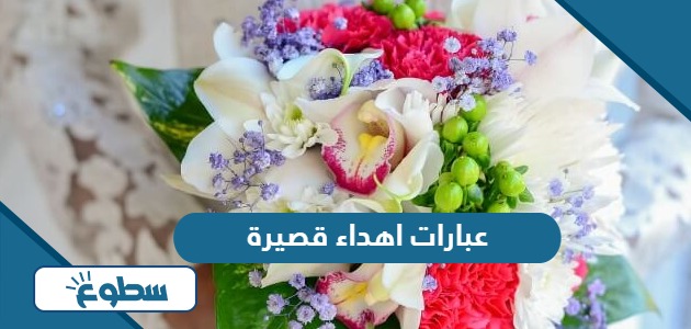 عبارات اهداء قصيرة