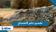 تفسير حلم التمساح