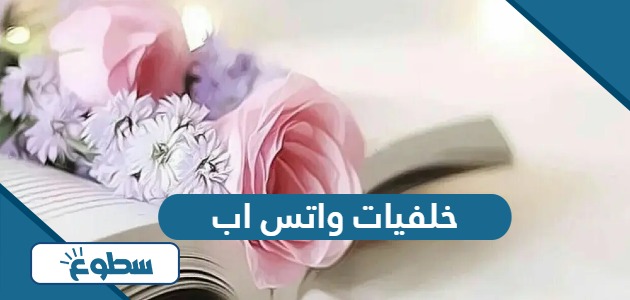 اجمل الصور خلفيات واتس اب عالية الجودة 2024