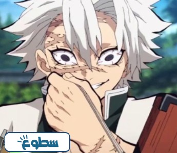 شينازوغاوا سانيمي