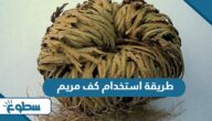 طريقة استخدام كف مريم طريقة استخدام كف مريم