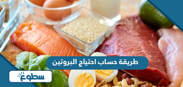 طريقة حساب احتياج البروتين