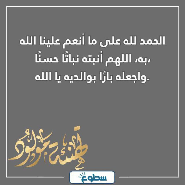 عبارات استقبال مولود جديد