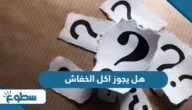 هل يجوز اكل الخفاش هل يجوز اكل الخفاش