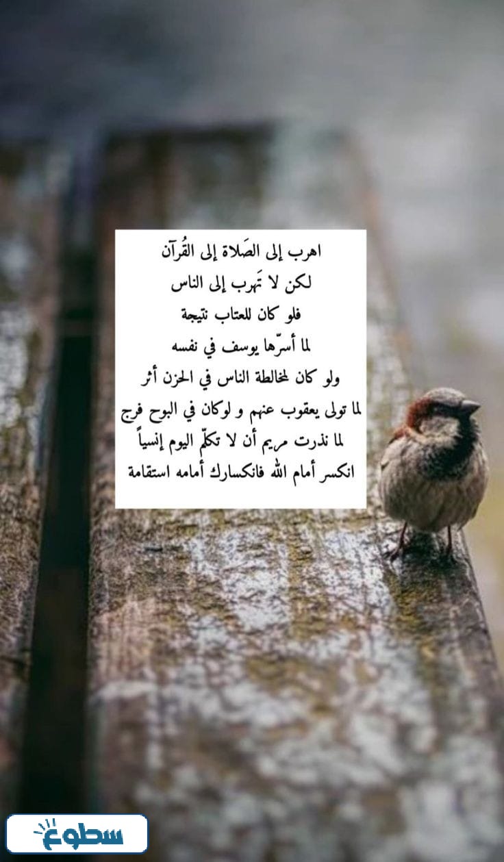 صور مكتوب عليها