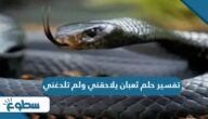تفسير حلم ثعبان يلاحقني ولم تلدغني تفسير حلم ثعبان يلاحقني ولم تلدغني