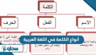 أنواع الكلمة في اللغة العربية