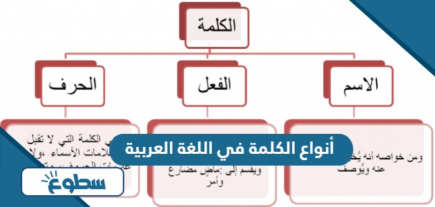 أنواع الكلمة في اللغة العربية