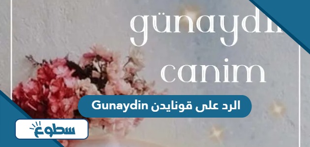 الرد على قونايدن Gunaydin، اذا احد قال قونايدن وش ارد