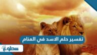 تفسير حلم الاسد في المنام