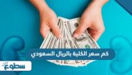 كم سعر الكلية بالريال السعودي 2024