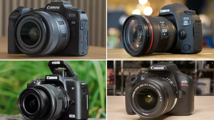 دليلك الشامل لاختيار أفضل الكاميرات وكاميرات السينما من كانون